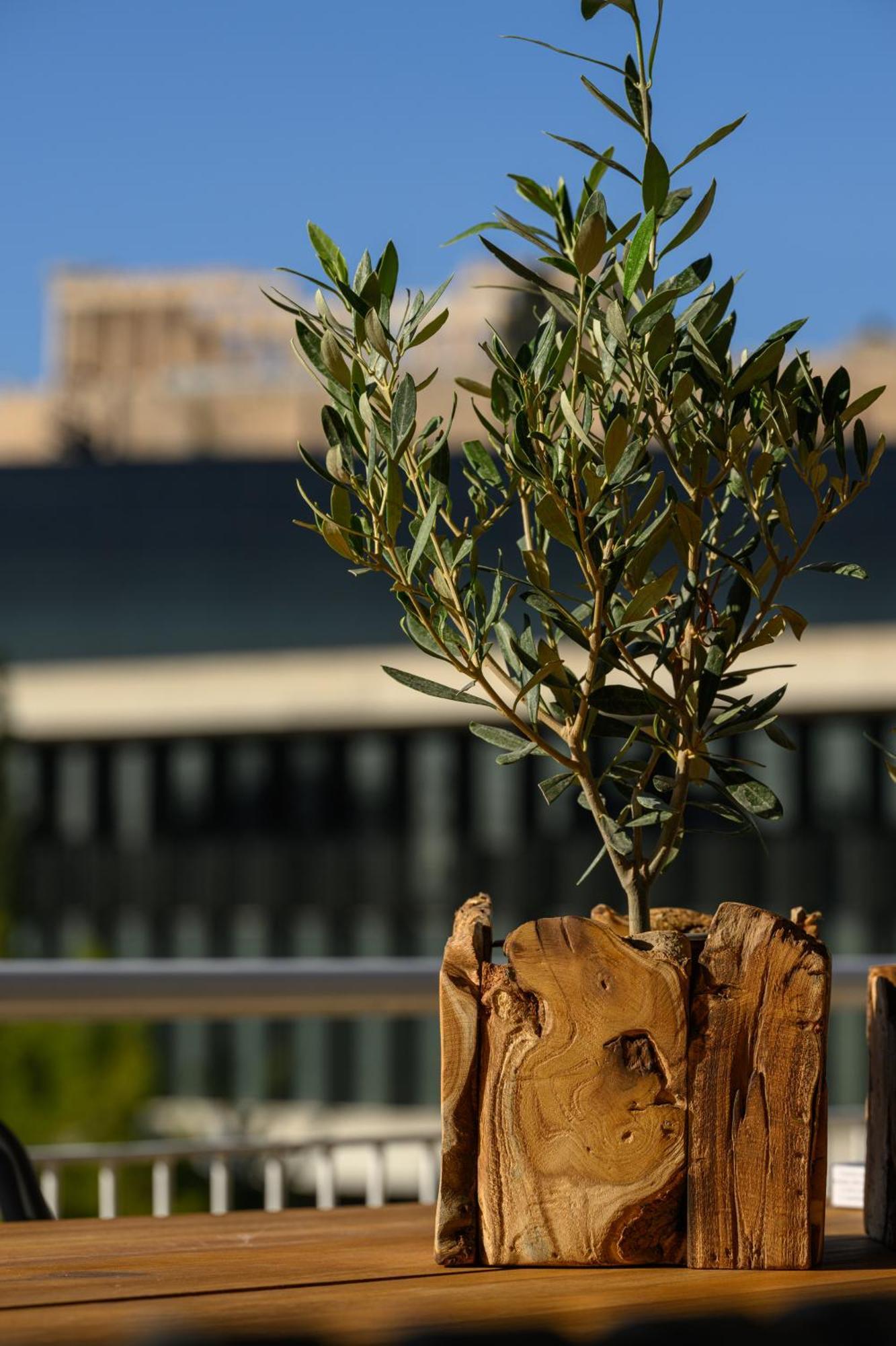 Acropolis View Deluxe Penthouse & Luxury Apartments Athen Værelse billede